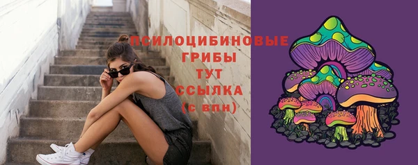 ГАЛЛЮЦИНОГЕННЫЕ ГРИБЫ Щучье