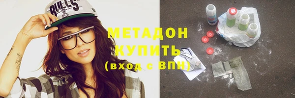 прущие грибы Щёлкино