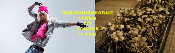 ГАЛЛЮЦИНОГЕННЫЕ ГРИБЫ Щучье