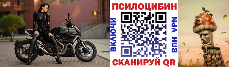 Псилоцибиновые грибы ЛСД  Купить где  Тайшет 